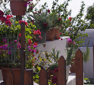 Impressionen auf der Vulkaninsel Nisyros