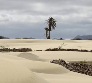 Wüste Deserto de Viana 