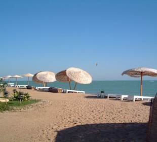 Mangroovy Beach