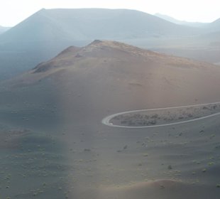 Busfahrt durch den Nationalpark