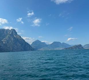 Ausblick