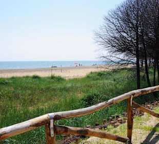 Naturreservat Richtung Strand