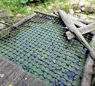 Hängematte über dem Wasser