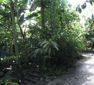 Botanischer Garten der Universität Zürich