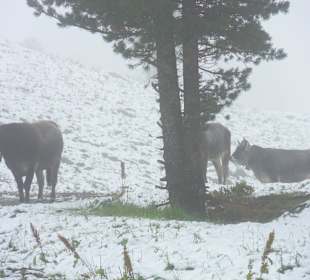 Widok z początków sierpnia