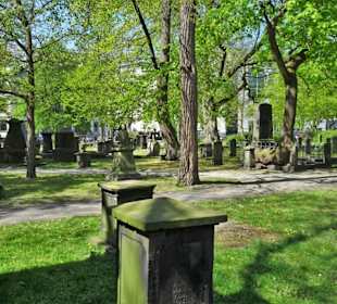 Impressionen vom Gartenfriedhof Hannover
