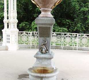 Der Schlangenbrunnen