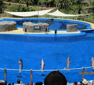 Palmitos Park Delfinen Show