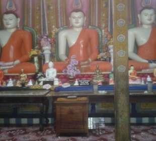 Buddha