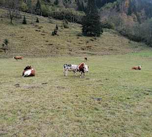 Wandern Großarl