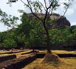 Sigiriya