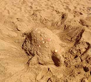 Praia de Nossa Senhora da Rocha