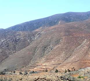 Inselrundfahrt Tagestour