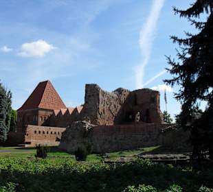 Ruiny Zamku Krzyżackiego