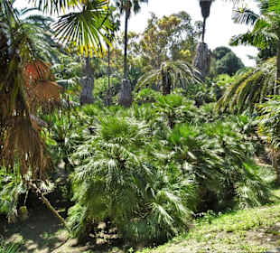 Impressionen aus dem Botanischen Garten Cagliari