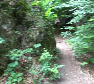 Burg Alt-Lichtenstein