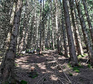 Wandern Balderschwang