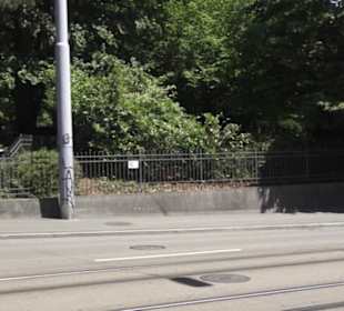 Universitätsstrasse