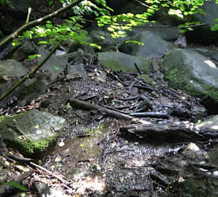 Wanderung Heslacher Wasserfälle und Heidenbrünnele