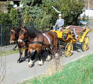 Kutschfahrten beim "Pferdehof Will"