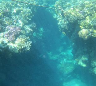 Schnorcheln Marsa Alam