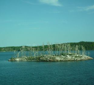 Insel in den Schären vor Stockholm