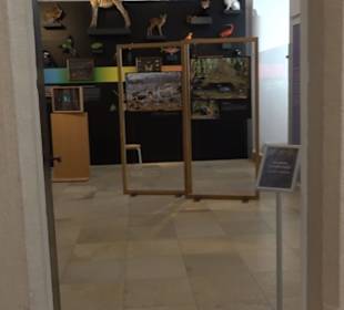 Museum für Ur- und Frühgeschichte