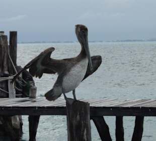 Mexiko, Isla Mujeres