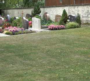 Friedhof Breitenholz