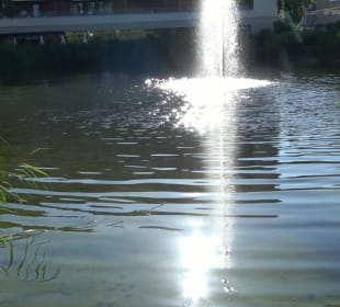 Seegarten-Anlage / Kurfürsten-Anlage