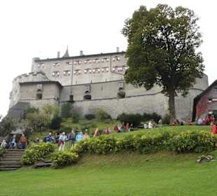 Greifvogelflugschau auf der Burg Werfen