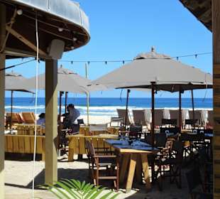 Impressionen vom Restaurant Sauvage