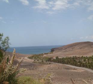 Aussicht beim Dromedarritt