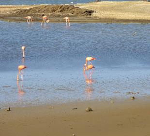 Blick über die Saline Sint Marie