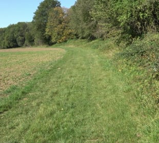 Kelten-Erlebnis-Pfad Erkenbrechtsweiler
