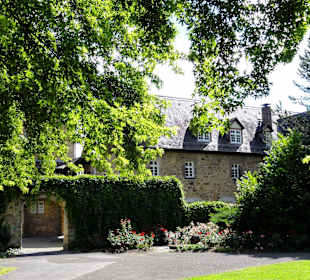 Der Schlosspark in der Altstadt