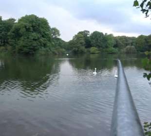 Kleinhesseloher See