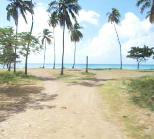 Und wieder ein Strandmotiv