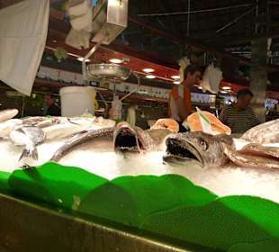 Die beißen nicht mehr