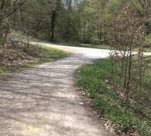 Sculptoura Woodwatcher