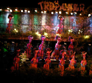 Havanna - Tropicana-Show