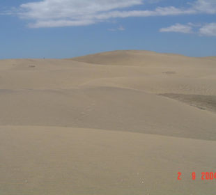 Dünen von Maspalomas