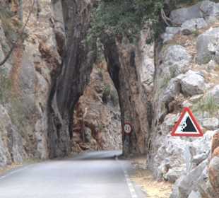 Straße nach Cala de Sa Calobra