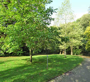 Impressionen vom Rundgang durch den Bürgerpark