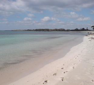 Der wunderbare Sandstrand