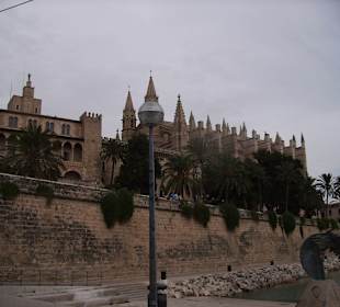 Palma