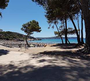 Platja Tora