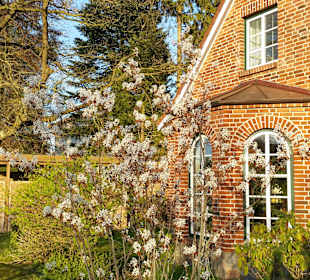 Wandern Alt Duvenstedt