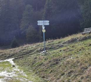 Wandern Menzenschwand
