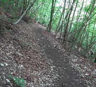 Premiumwanderweg "hochgelegen"